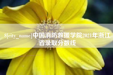 佳木斯中国消防救援学院2021年浙江省录取分数线