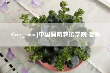 佳木斯中国消防救援学院 老师