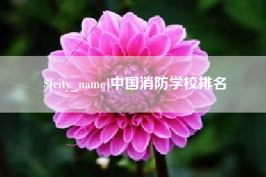 佳木斯中国消防学校排名