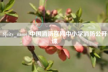 佳木斯中国消防官网中小学消防公开课