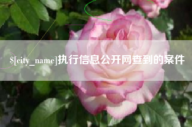 佳木斯执行信息公开网查到的案件