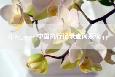 佳木斯中国执行记录查询系统app