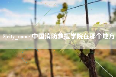 佳木斯中国消防救援学院在那个地方