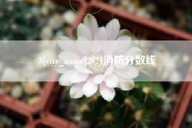 佳木斯2021消防分数线