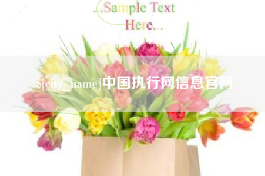 佳木斯中国执行网信息官网