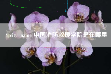 佳木斯中国消防救援学院是在哪里
