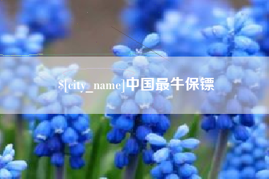 佳木斯中国最牛保镖
