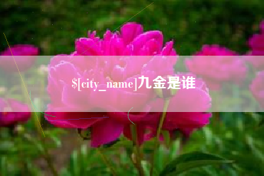 佳木斯九金是谁