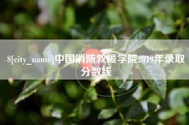 佳木斯中国消防救援学院2019年录取分数线