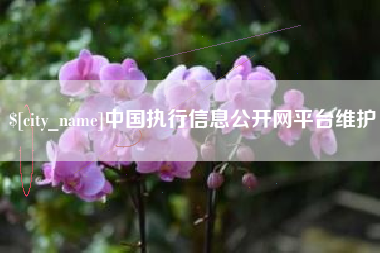 佳木斯中国执行信息公开网平台维护