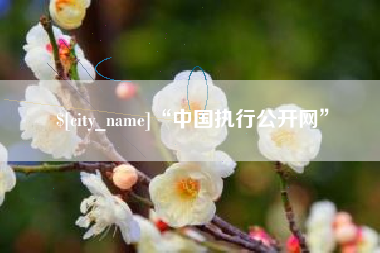 佳木斯“中国执行公开网”