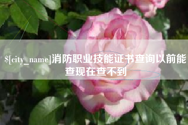 佳木斯消防职业技能证书查询以前能查现在查不到