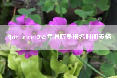 佳木斯2025年消防员报名时间表格