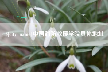 佳木斯中国消防救援学院具体地址