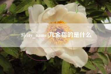 佳木斯九金指的是什么