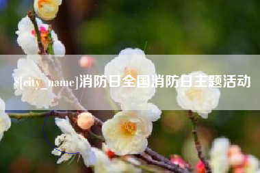 佳木斯消防日全国消防日主题活动
