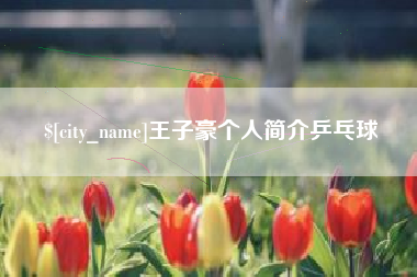 佳木斯王子豪个人简介乒乓球