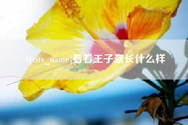 佳木斯看看王子豪长什么样