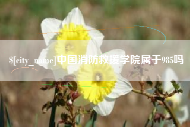 佳木斯中国消防救援学院属于985吗