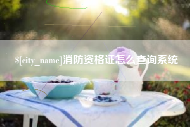佳木斯消防资格证怎么查询系统