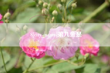 佳木斯第九金是