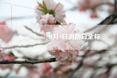 佳木斯11月9日消防日全称