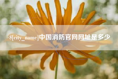 佳木斯中国消防官网网址是多少