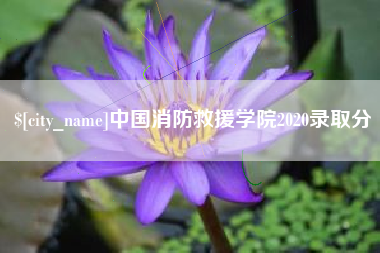 佳木斯中国消防救援学院2020录取分