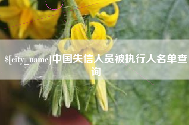 佳木斯中国失信人员被执行人名单查询