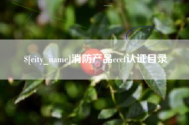 佳木斯消防产品cccf认证目录