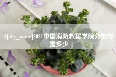 佳木斯2021中国消防救援学院分数线是多少