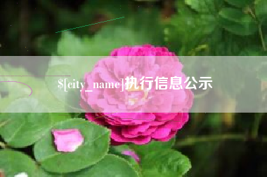 佳木斯执行信息公示