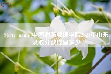 佳木斯中国消防救援学院2021年山东录取分数线是多少