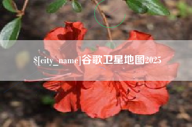 佳木斯谷歌卫星地图2025