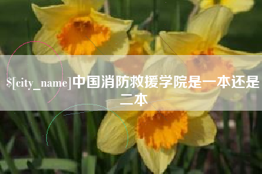 佳木斯中国消防救援学院是一本还是二本