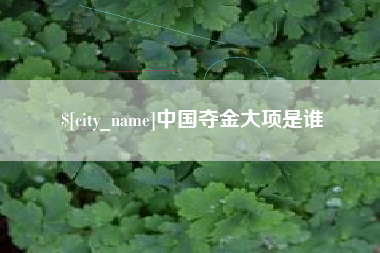 佳木斯中国夺金大项是谁