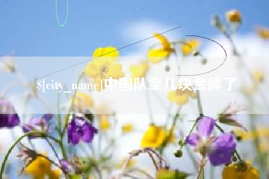 佳木斯中国队拿几块金牌了