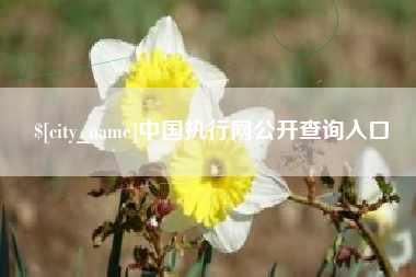 佳木斯中国执行网公开查询入口