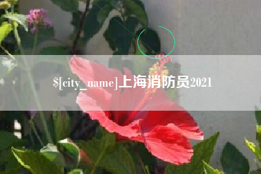 佳木斯上海消防员2021