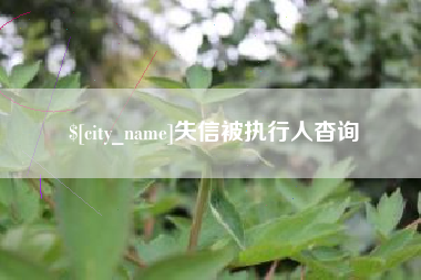佳木斯失信被执行人杳询