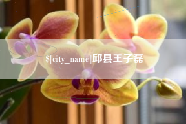 佳木斯邱县王子磊