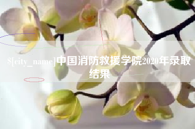 佳木斯中国消防救援学院2020年录取结果