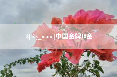 佳木斯中国金牌18金