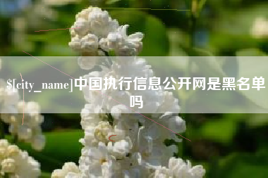佳木斯中国执行信息公开网是黑名单吗