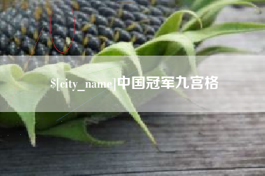 佳木斯中国冠军九宫格