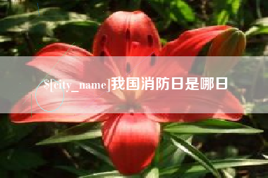 佳木斯我国消防日是哪日