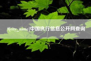 佳木斯中国执行信息公开网查询