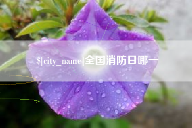 佳木斯全国消防日哪一