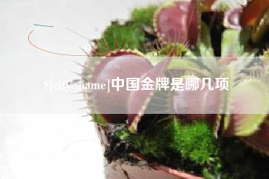 佳木斯中国金牌是哪几项