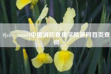 佳木斯中国消防救援学院官网首页查询